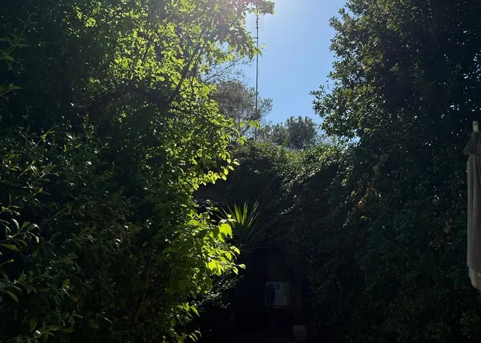 La Casa Di Ornella Daire *