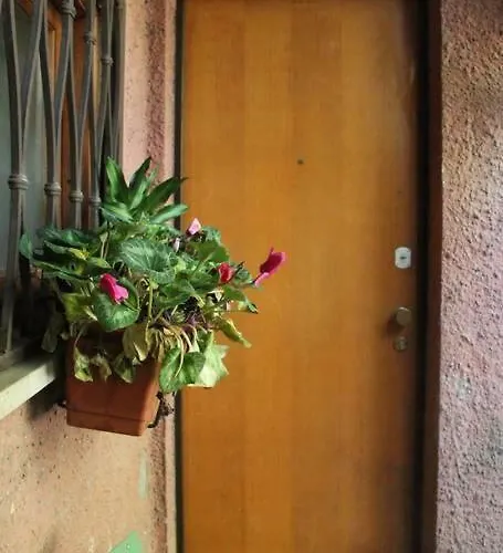 La Casa Di Ornella Daire